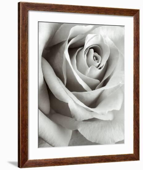 Rose-Steven N^ Meyers-Framed Art Print