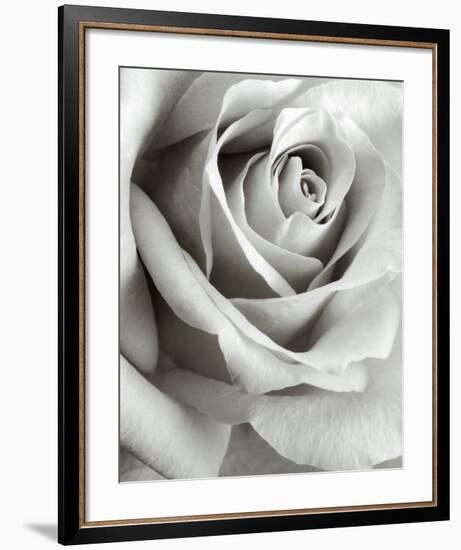 Rose-Steven N^ Meyers-Framed Art Print