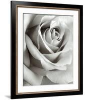 Rose-Steven N^ Meyers-Framed Art Print