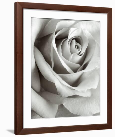 Rose-Steven N^ Meyers-Framed Art Print