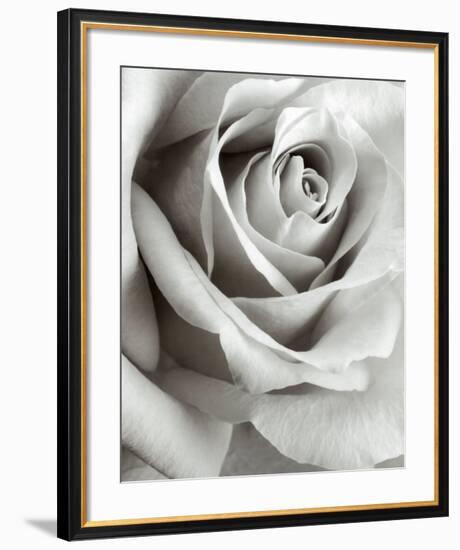 Rose-Steven N^ Meyers-Framed Art Print