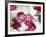 Rose-Annemiek De Beer-Framed Art Print