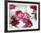 Rose-Annemiek De Beer-Framed Art Print