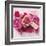 Rose-Louis Gaillard-Framed Art Print