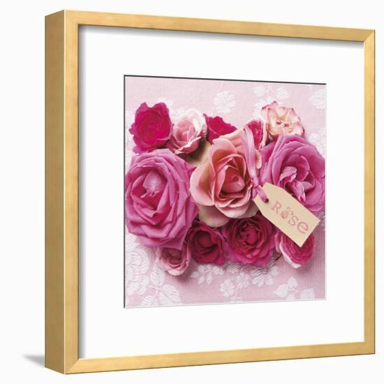 Rose-Louis Gaillard-Framed Art Print