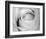 Rose-Art Photo Pro-Framed Art Print