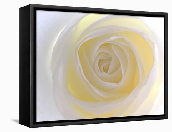 Rose-Nadia Isakova-Framed Premier Image Canvas