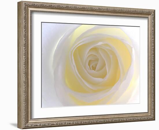 Rose-Nadia Isakova-Framed Photographic Print