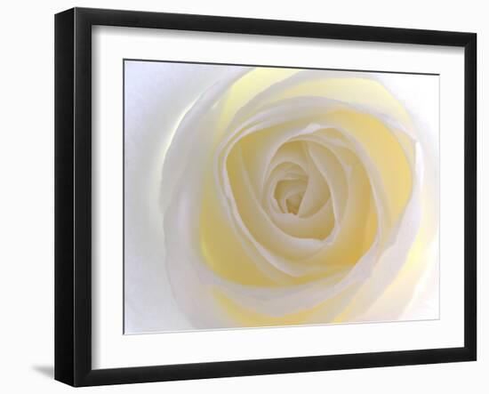 Rose-Nadia Isakova-Framed Photographic Print