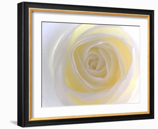 Rose-Nadia Isakova-Framed Photographic Print