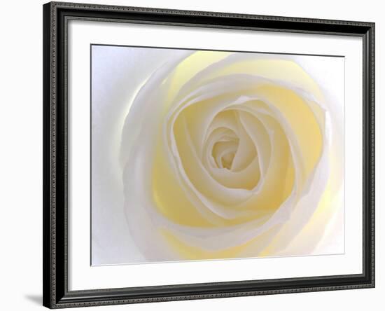 Rose-Nadia Isakova-Framed Photographic Print