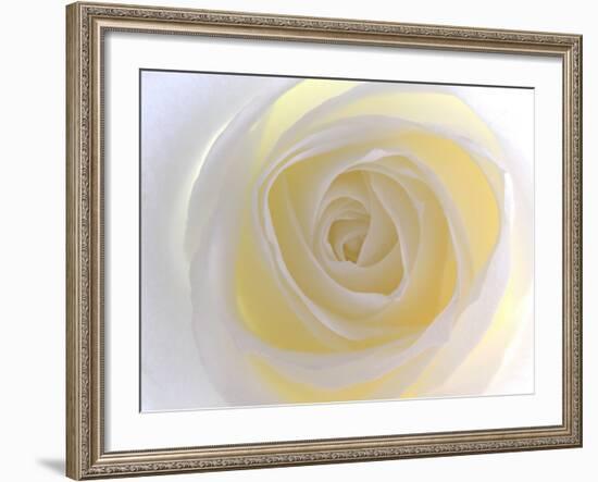 Rose-Nadia Isakova-Framed Photographic Print