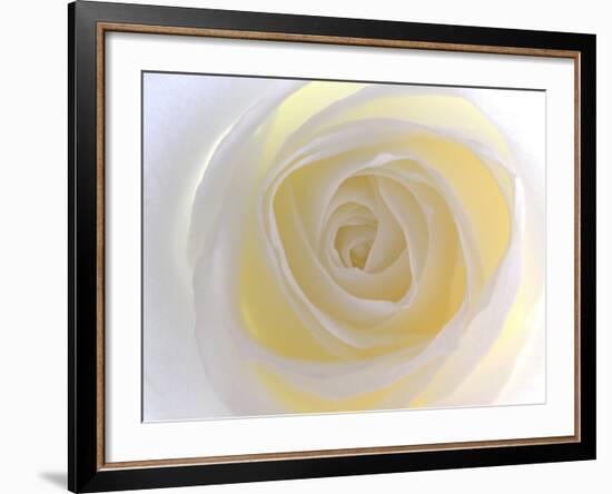 Rose-Nadia Isakova-Framed Photographic Print