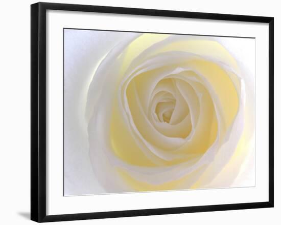 Rose-Nadia Isakova-Framed Photographic Print