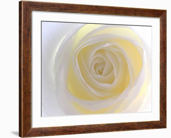 Rose-Nadia Isakova-Framed Photographic Print