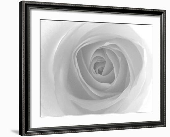 Rose-Nadia Isakova-Framed Photographic Print