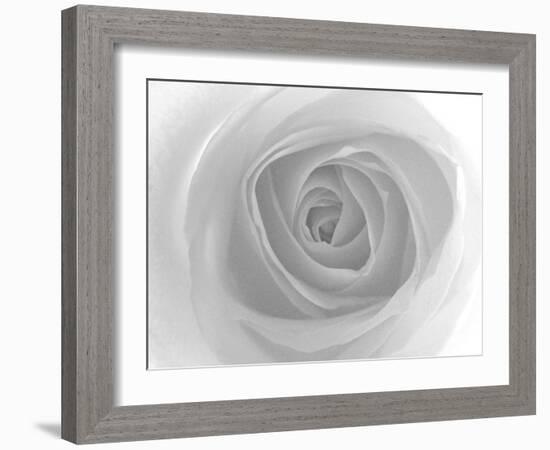 Rose-Nadia Isakova-Framed Photographic Print