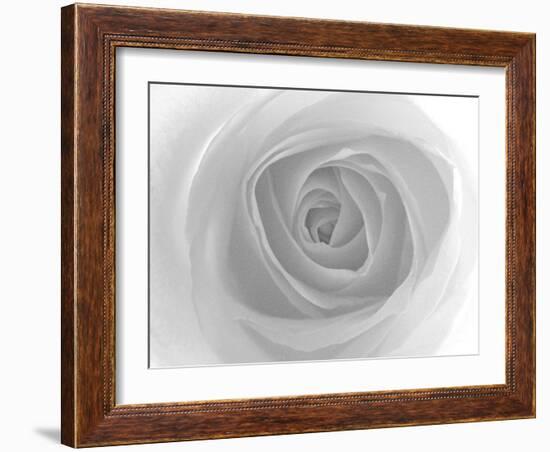 Rose-Nadia Isakova-Framed Photographic Print