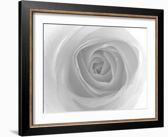 Rose-Nadia Isakova-Framed Photographic Print