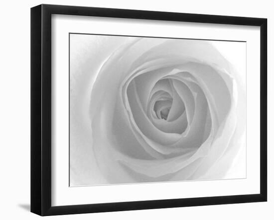 Rose-Nadia Isakova-Framed Photographic Print