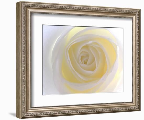 Rose-Nadia Isakova-Framed Photographic Print