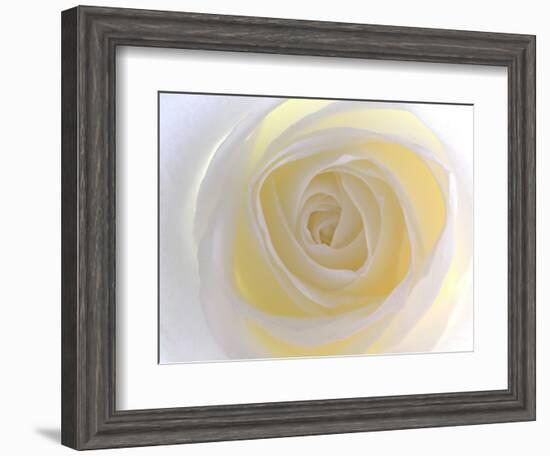 Rose-Nadia Isakova-Framed Photographic Print