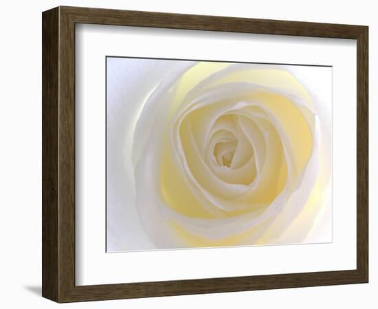 Rose-Nadia Isakova-Framed Photographic Print