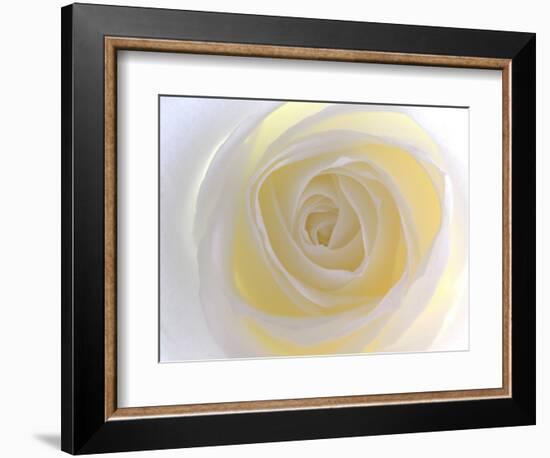 Rose-Nadia Isakova-Framed Photographic Print