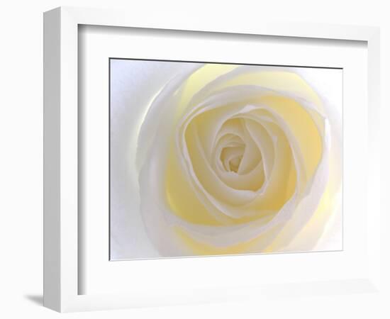 Rose-Nadia Isakova-Framed Photographic Print