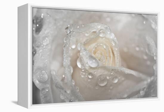 Rose-Gordon Semmens-Framed Premier Image Canvas