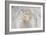 Rose-Gordon Semmens-Framed Photographic Print