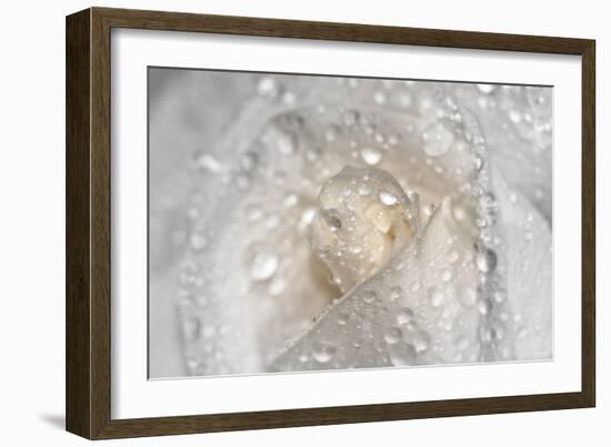 Rose-Gordon Semmens-Framed Photographic Print