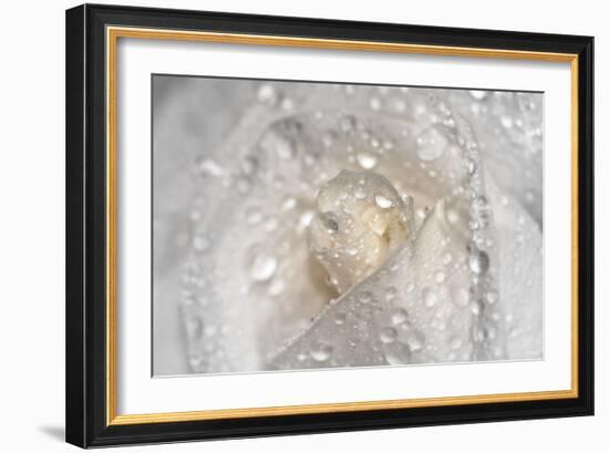 Rose-Gordon Semmens-Framed Photographic Print