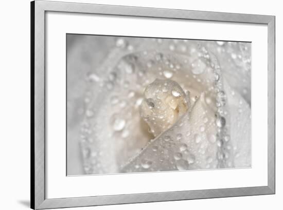 Rose-Gordon Semmens-Framed Photographic Print