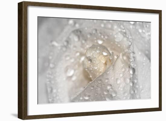 Rose-Gordon Semmens-Framed Photographic Print