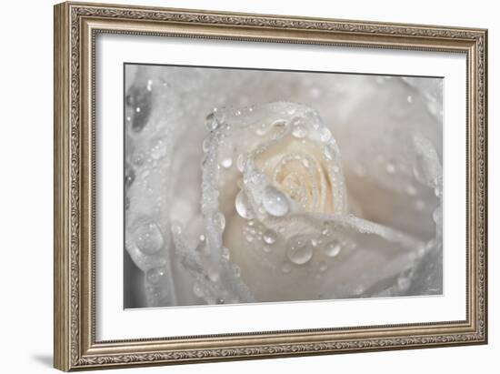 Rose-Gordon Semmens-Framed Photographic Print