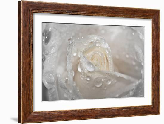 Rose-Gordon Semmens-Framed Photographic Print