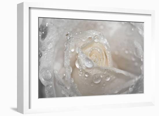 Rose-Gordon Semmens-Framed Photographic Print