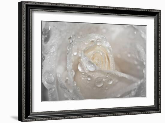 Rose-Gordon Semmens-Framed Photographic Print