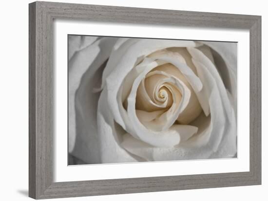 Rose-Gordon Semmens-Framed Photographic Print