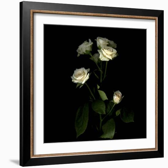 Rose-Magda Indigo-Framed Photographic Print