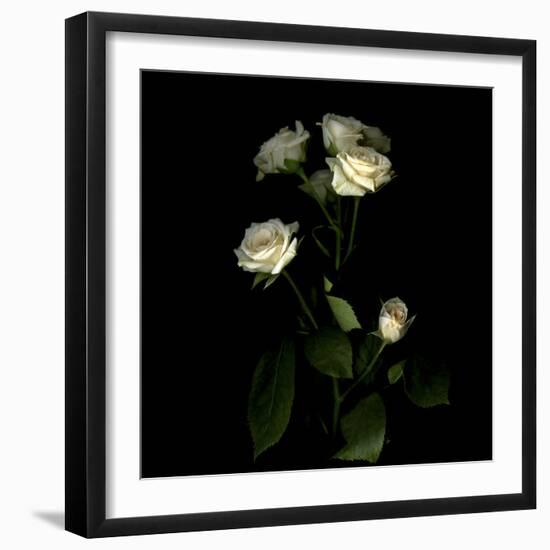 Rose-Magda Indigo-Framed Photographic Print