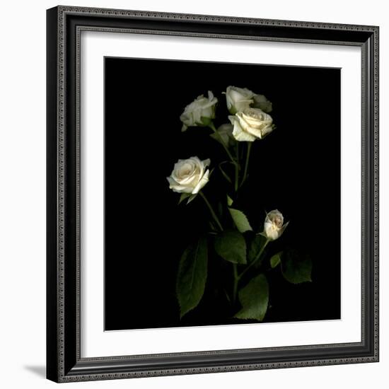 Rose-Magda Indigo-Framed Photographic Print