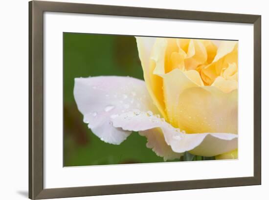 Rose-Lynn M^ Stone-Framed Photographic Print