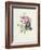 Rose-Pierre-Joseph Redouté-Framed Giclee Print