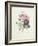 Rose-Pierre-Joseph Redouté-Framed Giclee Print