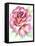 Rose-Michelle Faber-Framed Premier Image Canvas