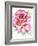 Rose-Michelle Faber-Framed Giclee Print