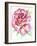 Rose-Michelle Faber-Framed Giclee Print