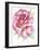 Rose-Michelle Faber-Framed Giclee Print